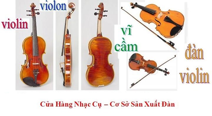 BÃ¡n Ä‘Ã n violin táº¡i HoÌc MÃ´n, TPHCM