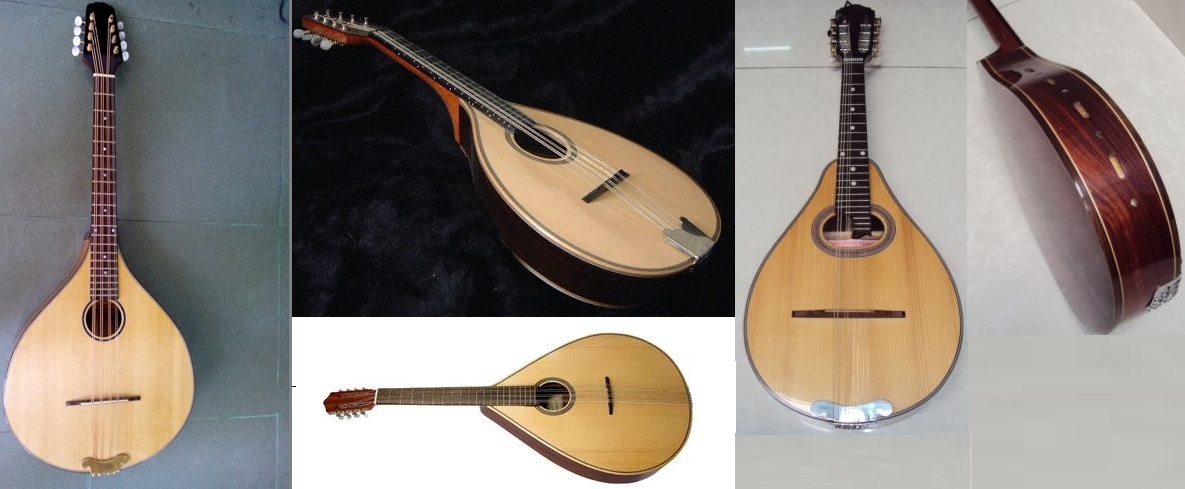 Mua đàn mandolin giá rẻ tại học môn